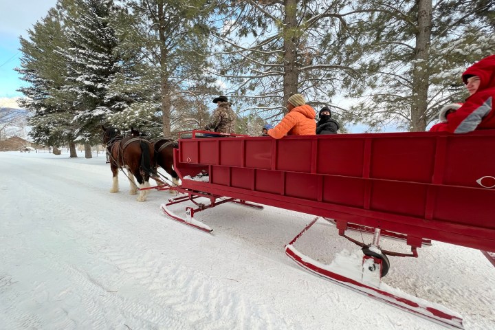 a group of people riding skis across snow covered ground