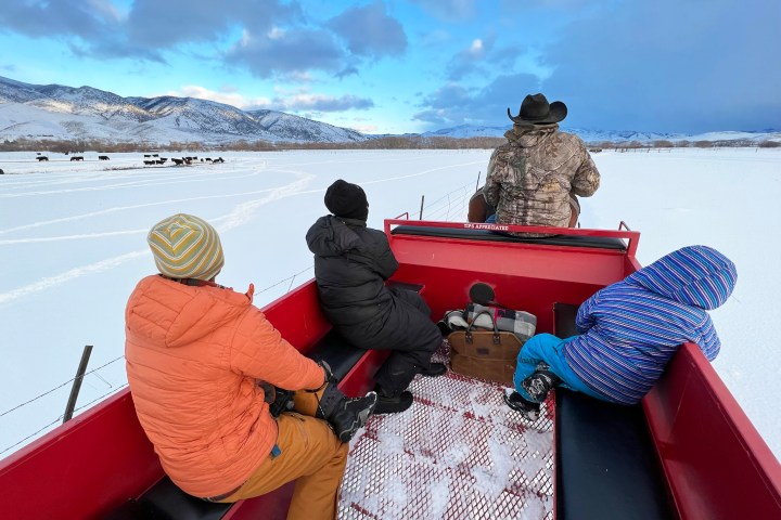 a person sitting on a bench next to a body of water