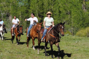 People riding horses