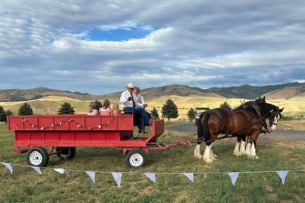 a horse pulling a cart