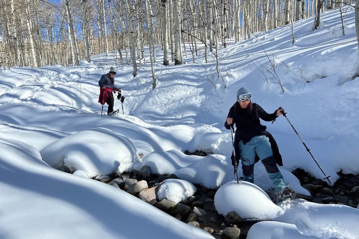a group of people riding skis down a snow covered slope