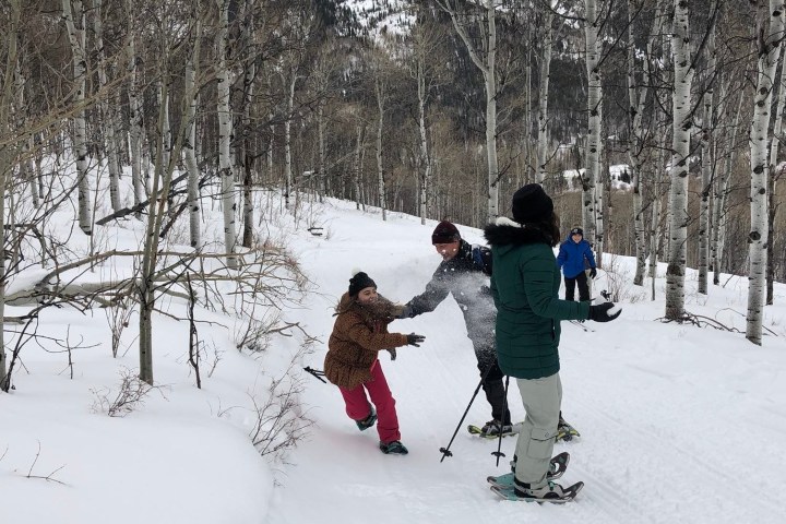 a person riding skis down a snow covered forest