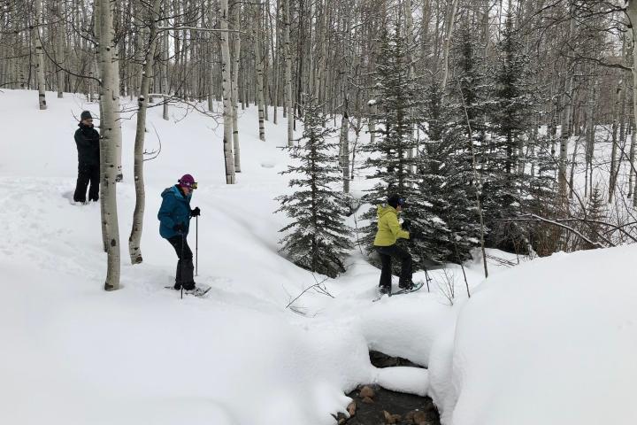a group of people cross country skiing in the snow