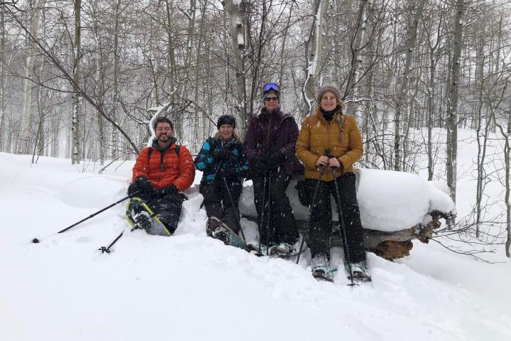 a group of people riding skis down a snow covered slope