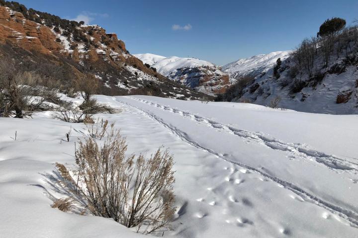 a man riding skis down a snow covered mountain
