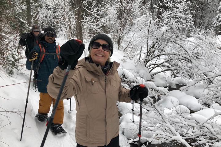 a person is cross country skiing in the snow