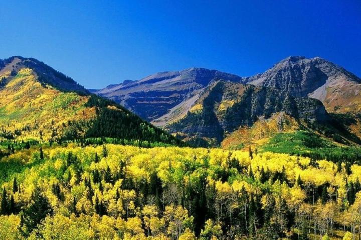 a large green field with a mountain in the background
