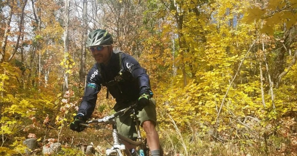 a person riding a bicycle in a forest