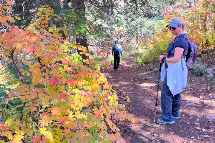 Autumn leaves hike