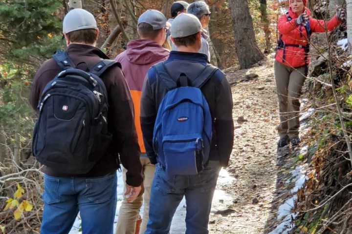 Group of hikers with backpacks on a forest trail in autumn