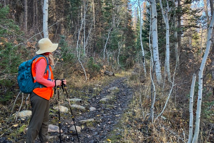 Hiker with poles on forest trail, surrounded by trees.
