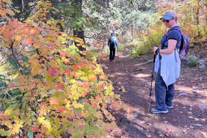 Two people hiking on a forest trail with autumn leaves.